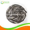 Chinese High Quality Sunflower Seeds 601